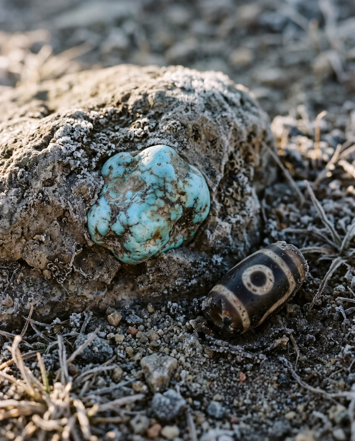 A raw turquoise nugget set in frost-rimmed host rock on stony ground, a worn striped bead in the soil beside it
